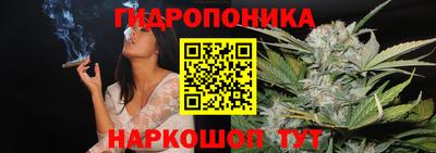 молекула духа Волгодонск