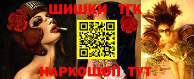 МДПВ Волжск