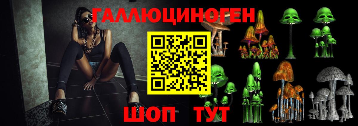 где продают   Галлюциногенные грибы мицелий  Вход с VPN  Тихвин 